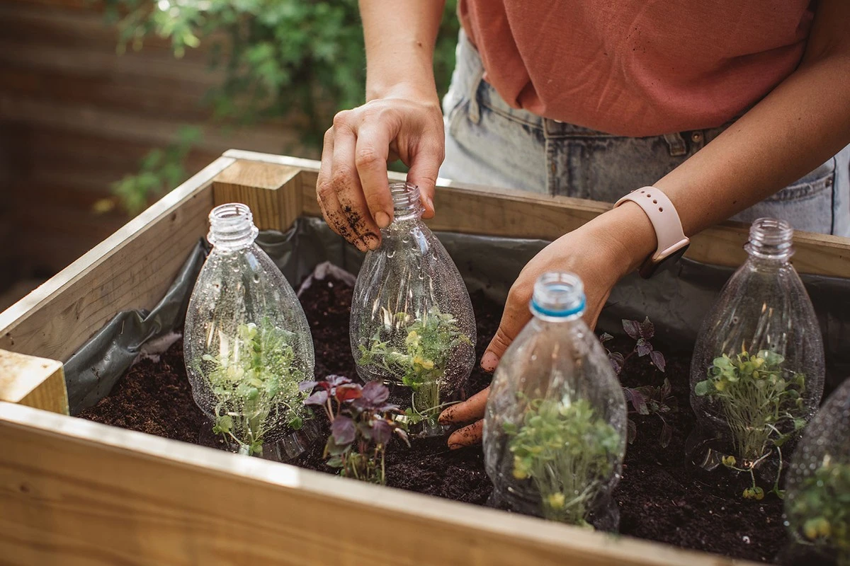 Plastikowe butelki w ogrodzie? Dlaczego zmniejszają zużycie wody o 40%.