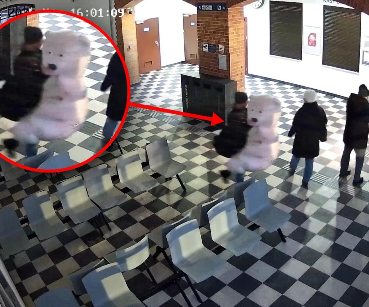 Tajemnicza kradzież pluszowego misia w Połądze. Czy tak wygląda świąteczna magia? - image 1