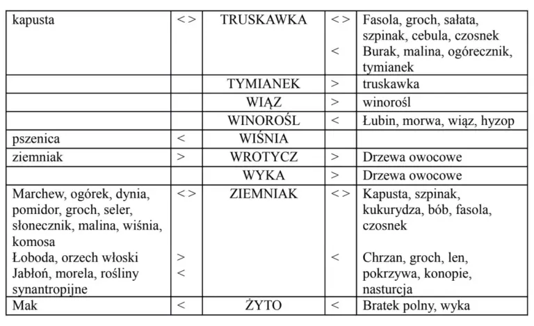 Architekt krajobrazu zdradza: nigdy nie sadź tych roślin obok siebie - oto dlaczego.