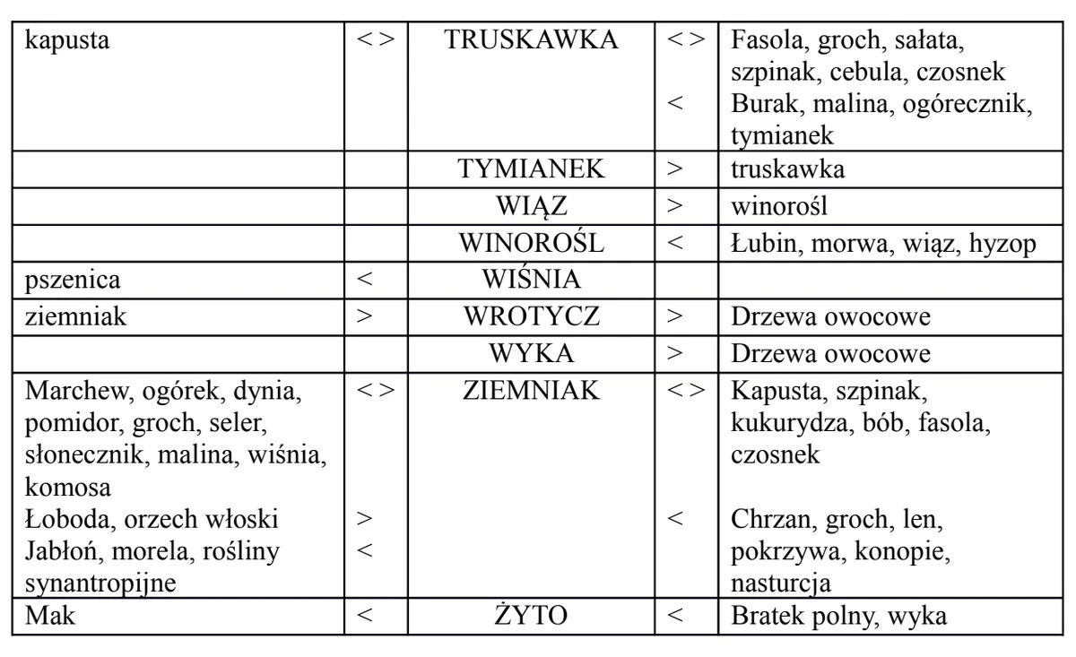 Architekt krajobrazu zdradza: nigdy nie sadź tych roślin obok siebie - oto dlaczego.