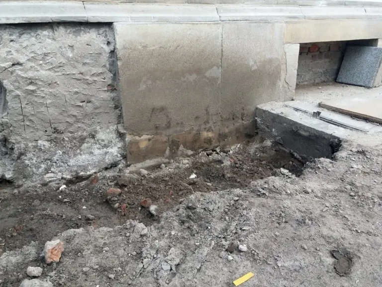 Architekt krajobrazu wyznaje: ten popularny krzew niszczy fundamenty domów.