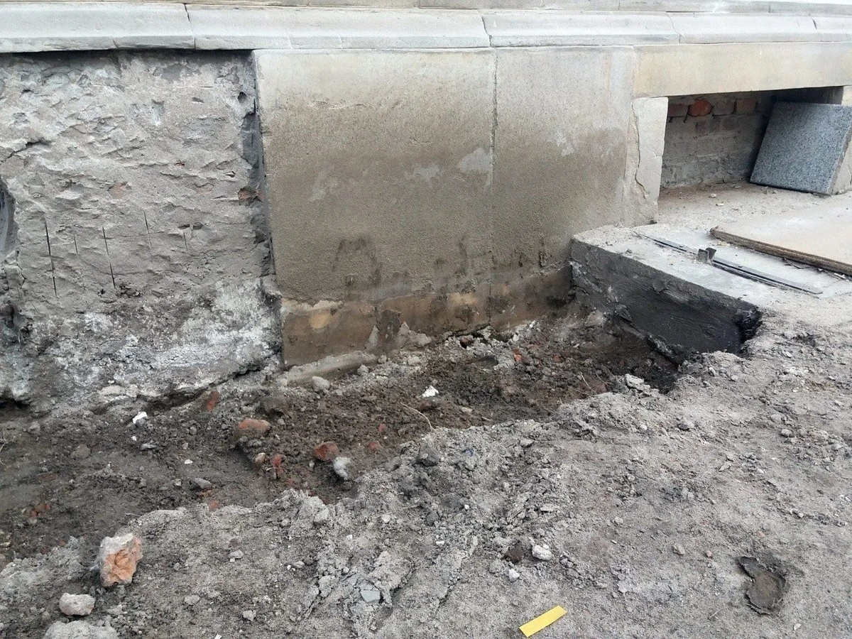 Architekt krajobrazu wyznaje: ten popularny krzew niszczy fundamenty domów.