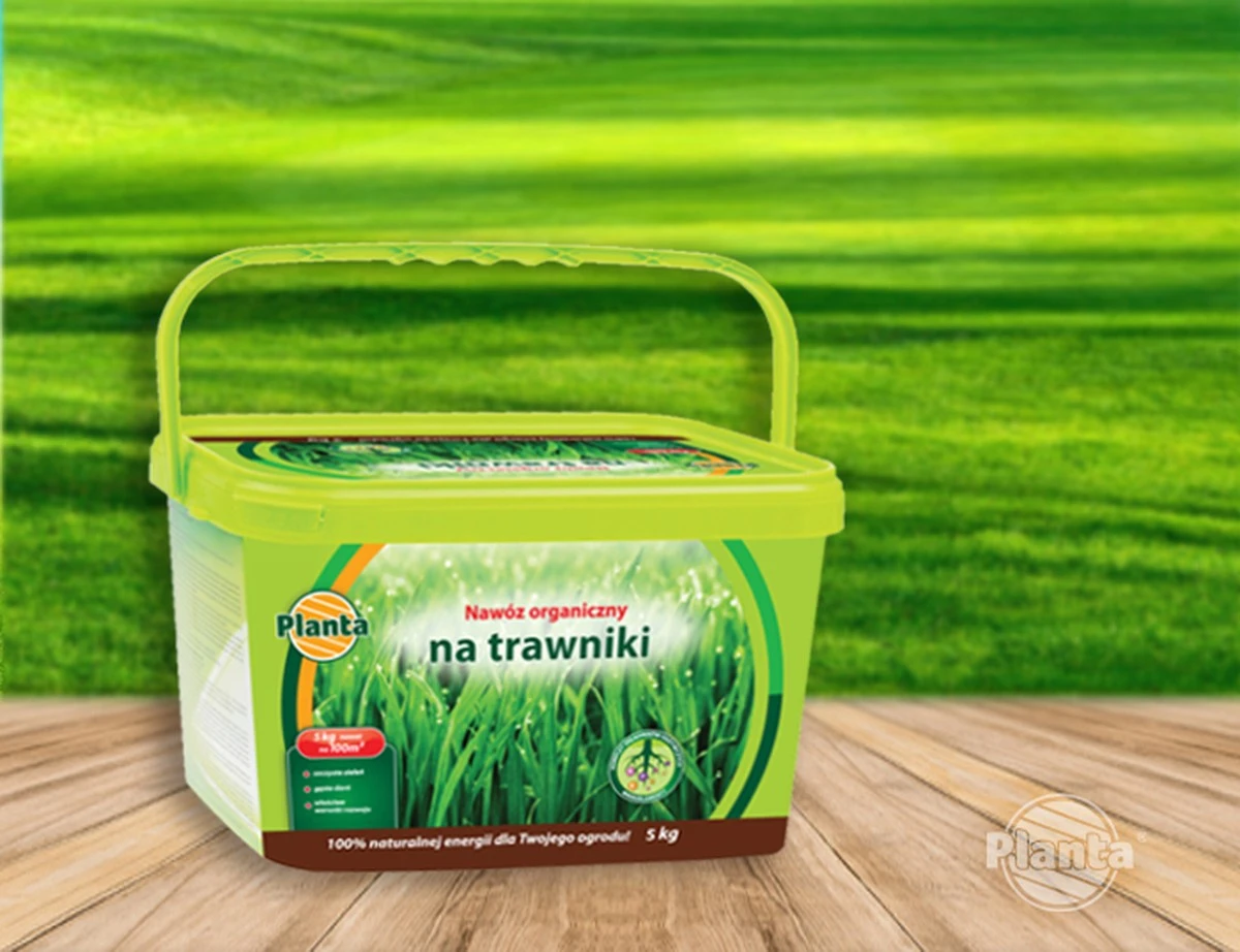 Botanicy błagają: przestań używać tego nawozu do trawnika wiosną!