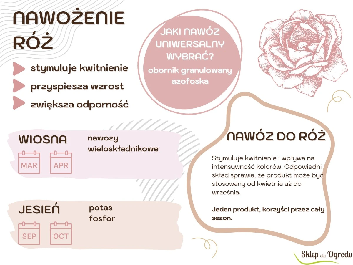 Drożdże rozpuszczone w wodzie do podlewania? Botanicy zaskoczeni efektami dla róż.