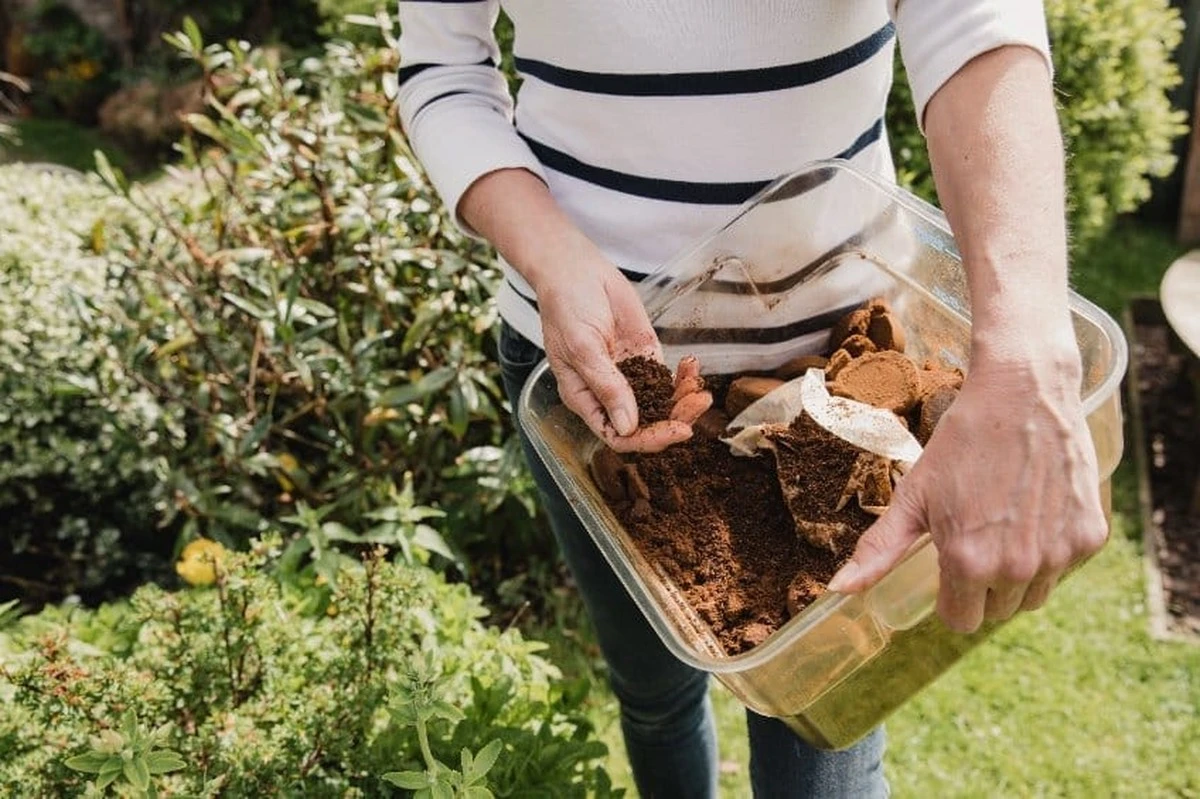 Fusy po kawie wokół roślin? Naturalny sposób na odstraszenie szkodników.