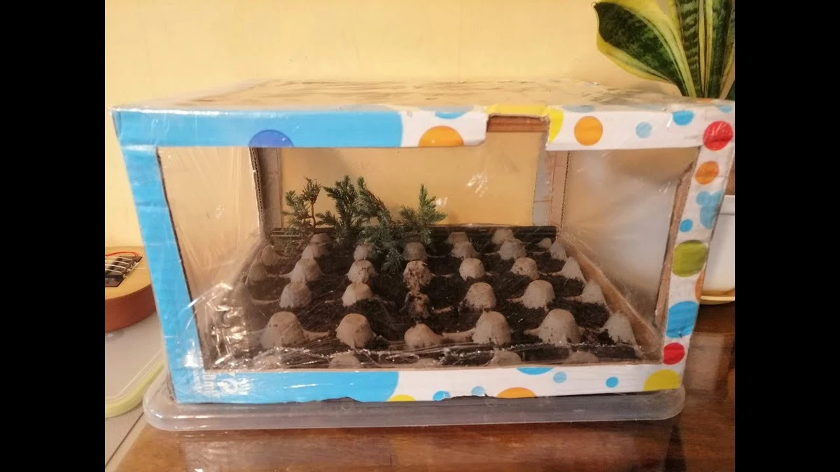 Karton po jajkach w szklarni? Dlaczego zmniejsza koszty o 40%.