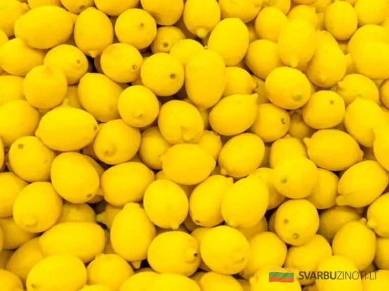 Kwasek cytrynowy — 10 000 razy silniejszy niż chemioterapia? Oto sprawdzona metoda na walkę z rakiem