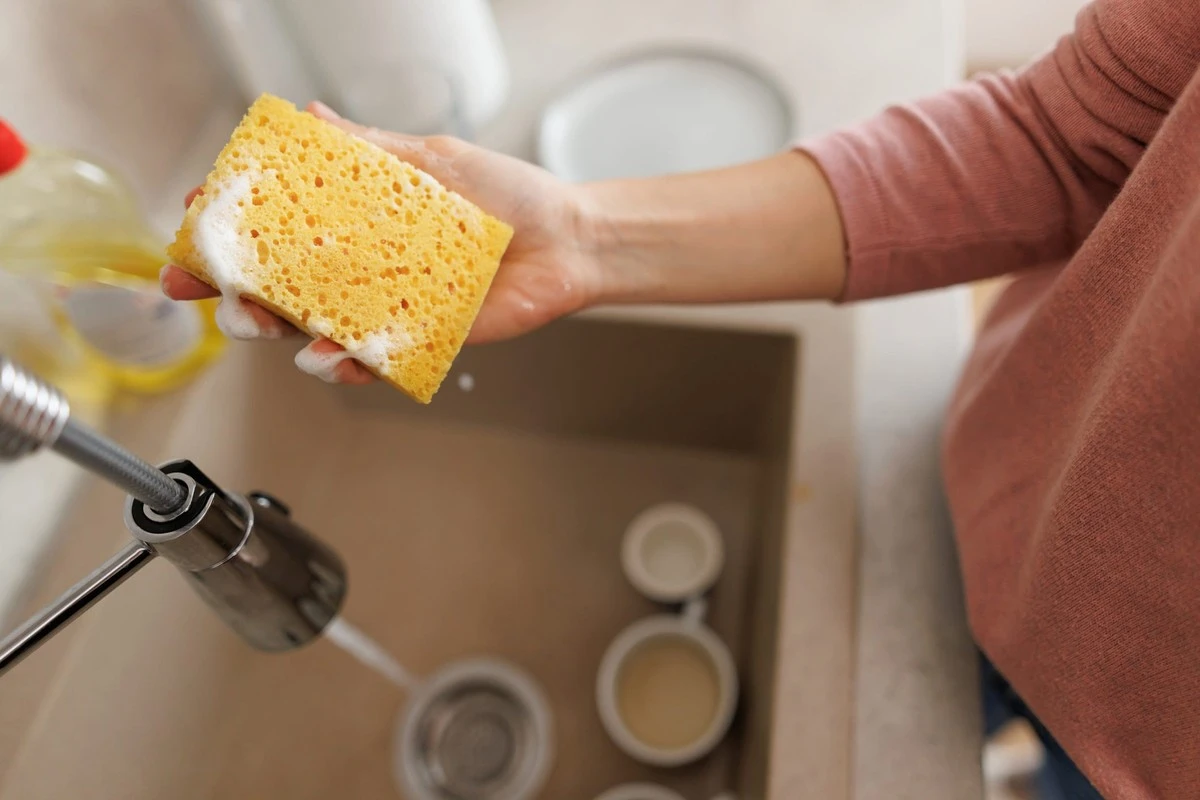 Mikrofalówka zamienia kuchenną gąbkę w sterylną broń przeciw bakteriom – sekret tkwi w 2 minutach. - image 1