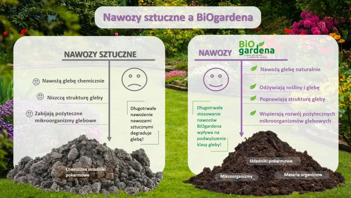 Ogrodnicy ostrzegają: ten popularny nawóz niszczy strukturę gleby na lata.