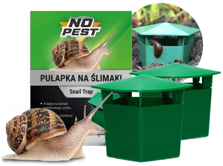 Piwo w płytkim naczyniu w ogrodzie? Skuteczna pułapka na ślimaki.