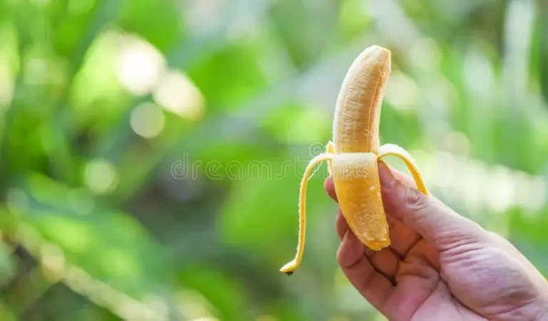 Skórki bananów zakopane przy różach? Ich sekretna moc dla Twoich kwiatów!