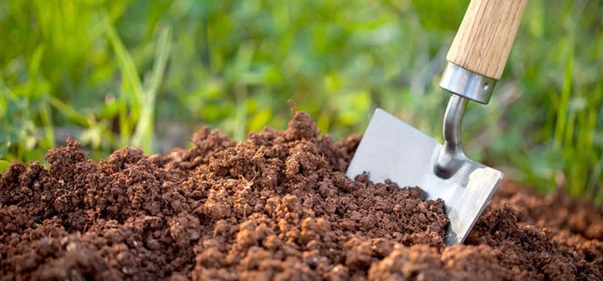 Skorupki jaj w glebie? Dlaczego Twoje pomidory będą 2 razy większe.