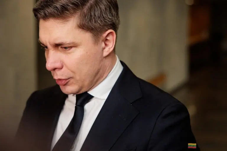 Socjaldemokraci wybierają przywódcę. Czy nowy lider LSDP poprowadzi partię tylko przez rok?