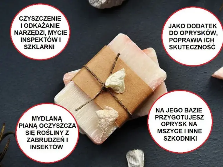 Szare mydło na liściach roślin? Naturalny sposób na walkę ze szkodnikami.