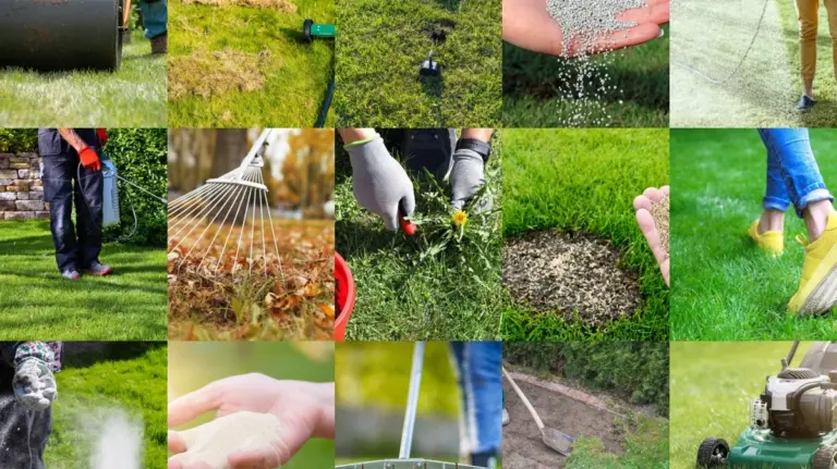 Woda po gotowaniu ziemniaków na trawniku? Zdziwisz się rezultatem!