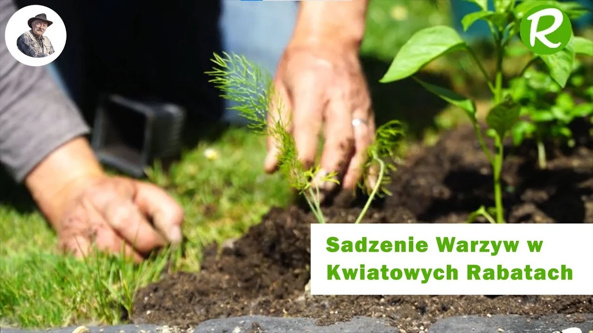 Woda po gotowaniu ziemniaków na rabatkach? Dlaczego rośliny rosną 2 razy szybciej.