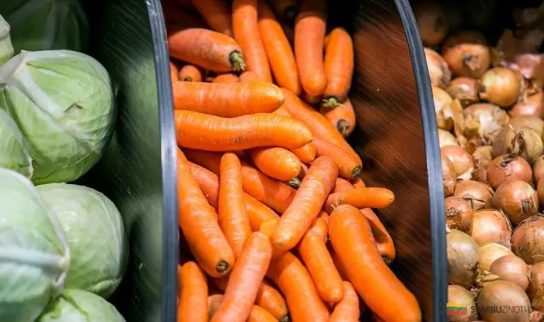 2026: Warzywa Obfitujące w Plony – Sekrety Ogrodników i Agronomów