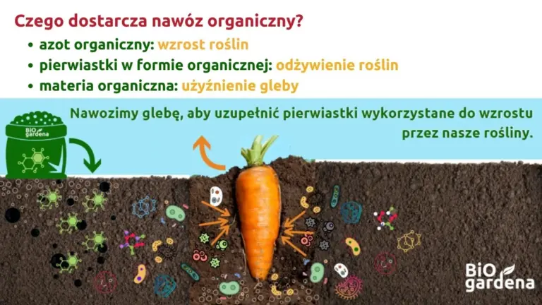 Architekt krajobrazu zdradza: ten popularny nawóz niszczy mikroorganizmy w glebie.