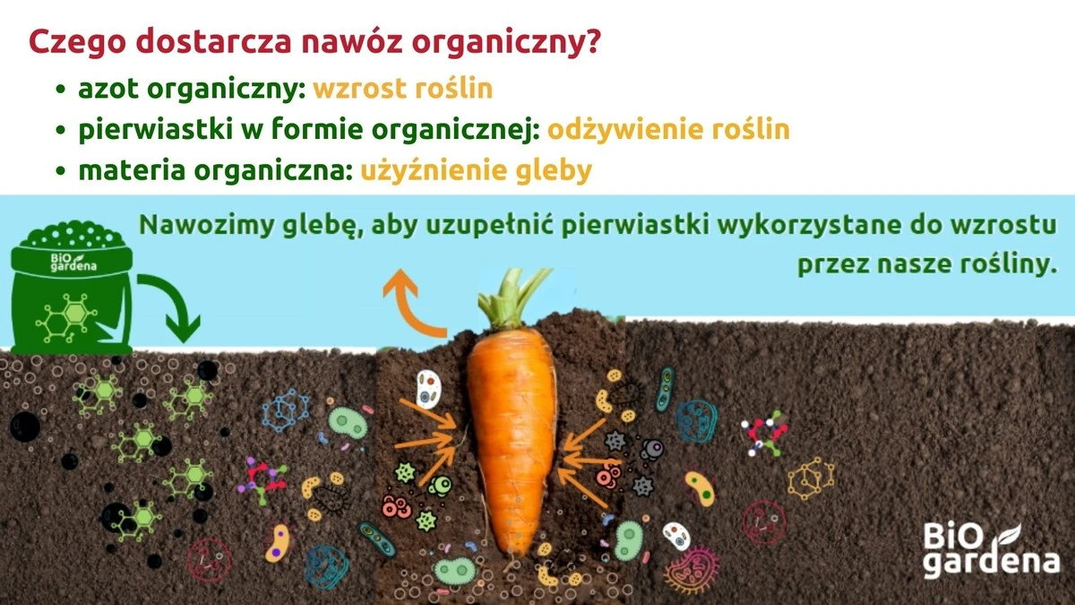 Architekt krajobrazu zdradza: ten popularny nawóz niszczy mikroorganizmy w glebie.