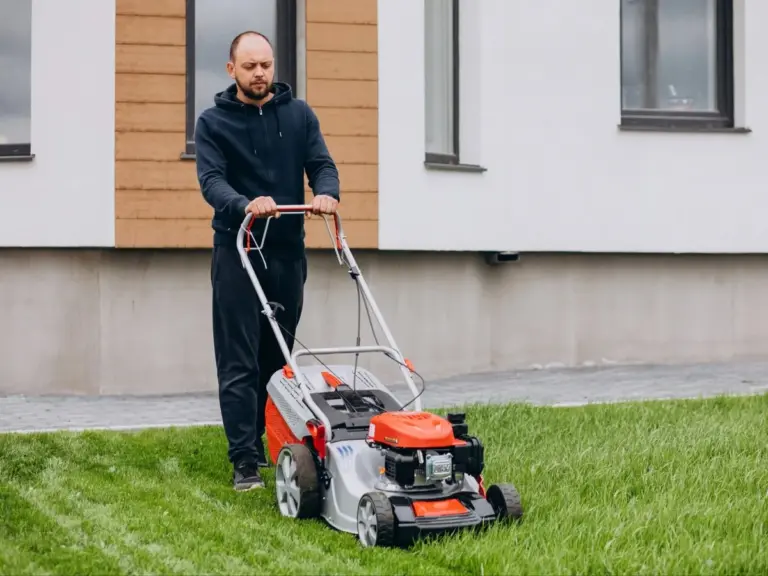 Architekt krajobrazu zdradza: ten częsty błąd niszczy trawnik w 2 tygodnie.