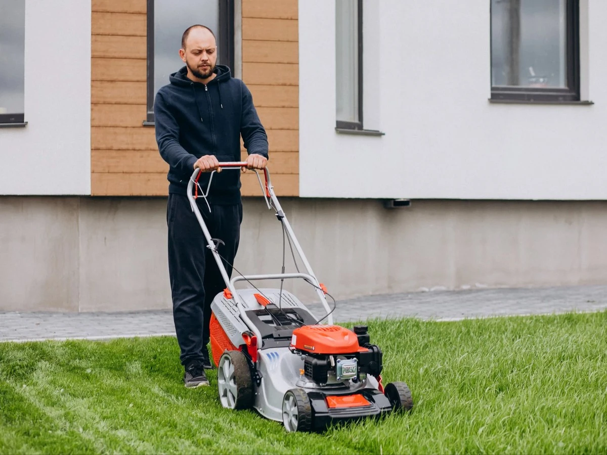Architekt krajobrazu zdradza: ten częsty błąd niszczy trawnik w 2 tygodnie.