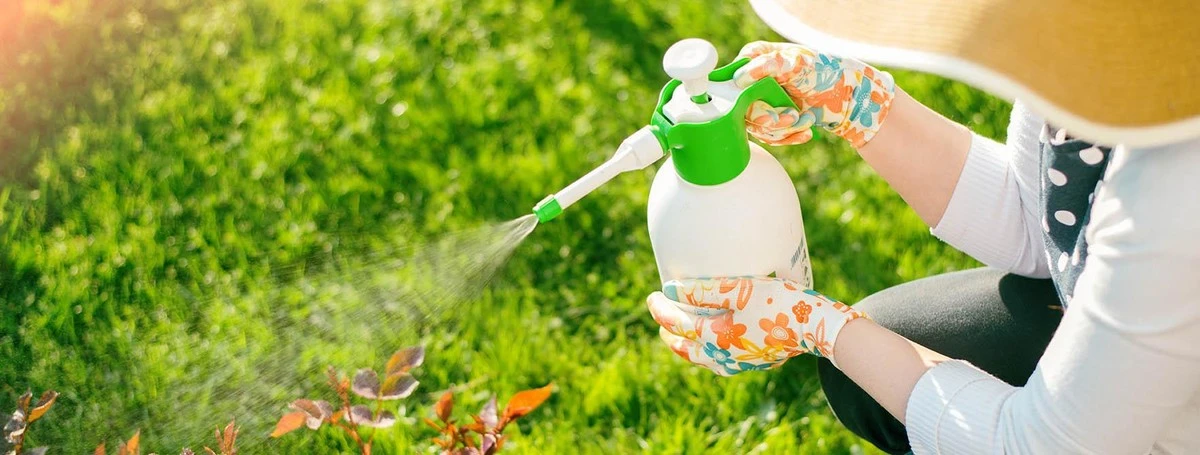 Cynamon na grządkach? Naturalny sposób na mrówki i ślimaki!