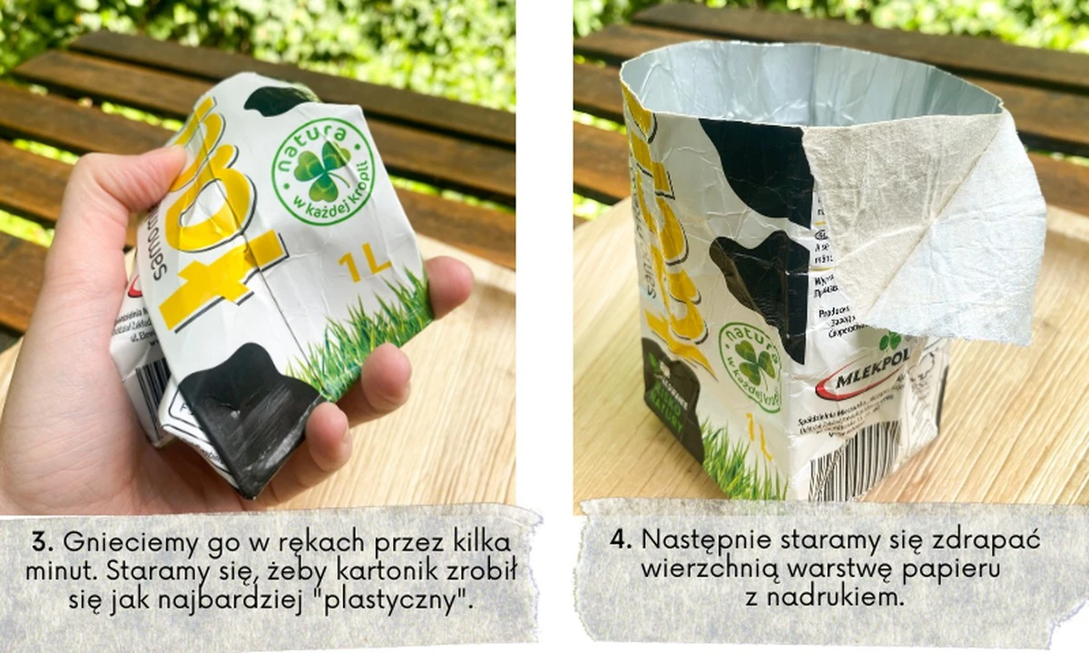 Karton po mleku jako doniczka? Sadzonki rosną o 40% zdrowsze!