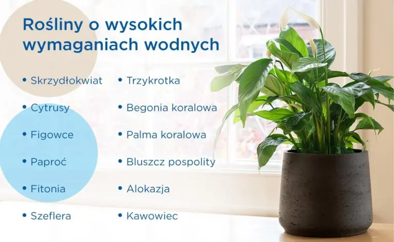 Ogrodnicy ostrzegają: nigdy nie podlewaj roślin tą wodą z kranu.