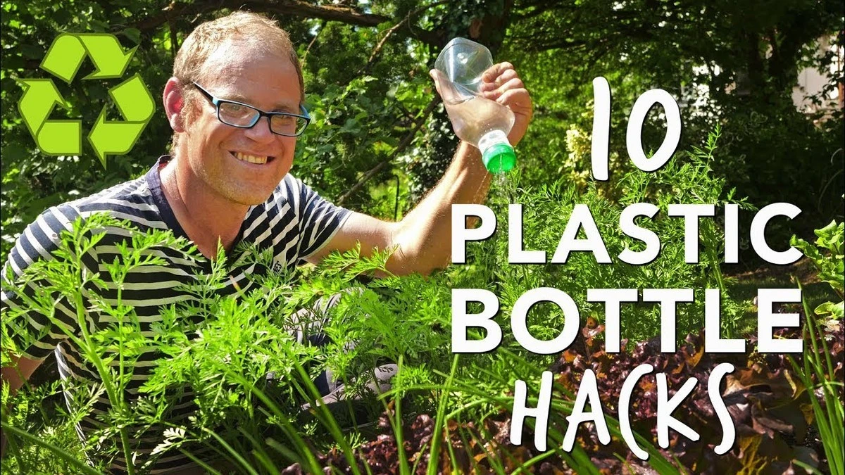 Plastikowe butelki jako mini-szklarnie? Podwójne plony wczesnych warzyw.
