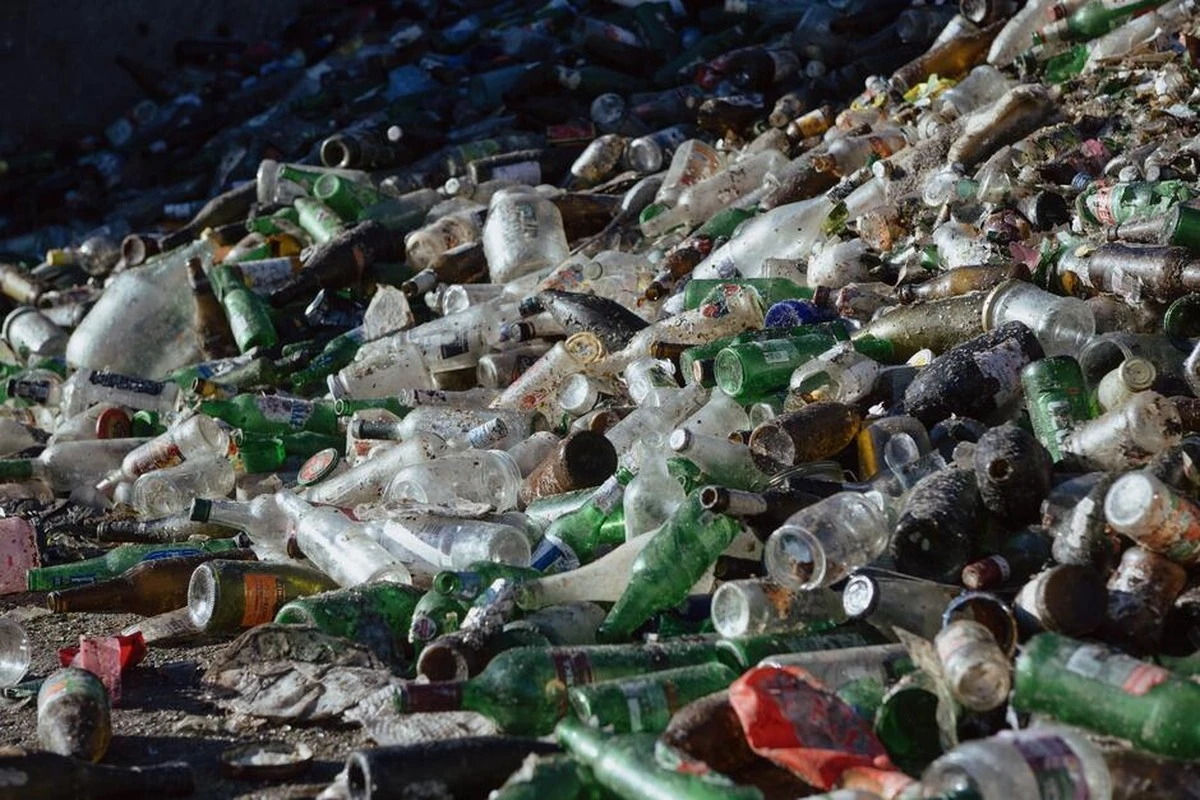 Plastikowe butelki wbite w ziemię przy pomidorach? Genialny system nawadniania za 0 złotych!