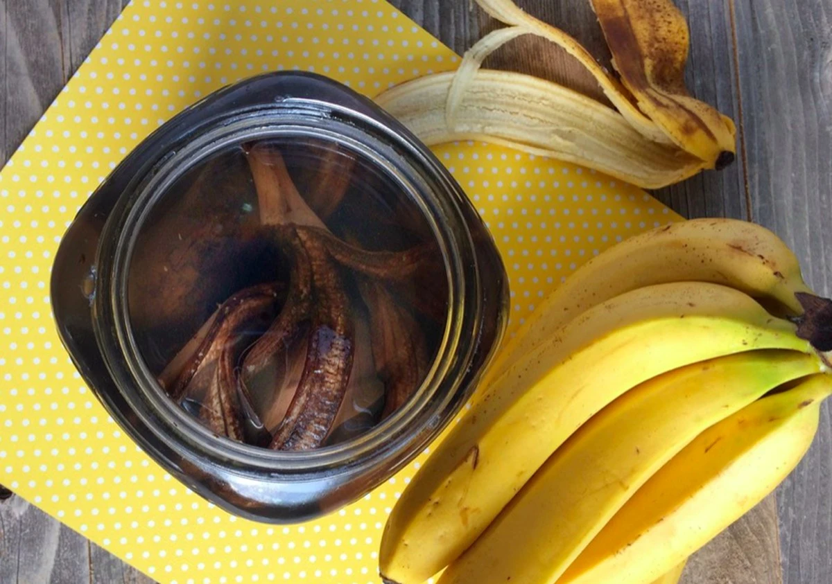 Skórki bananów przy różach? Ogrodnik wyjaśnia, dlaczego to lepsze niż drogie nawozy.