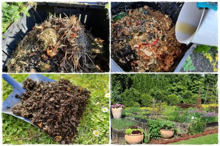 Skórki bananów zakopane przy różach? Dlaczego to naturalny dopalacz wzrostu.