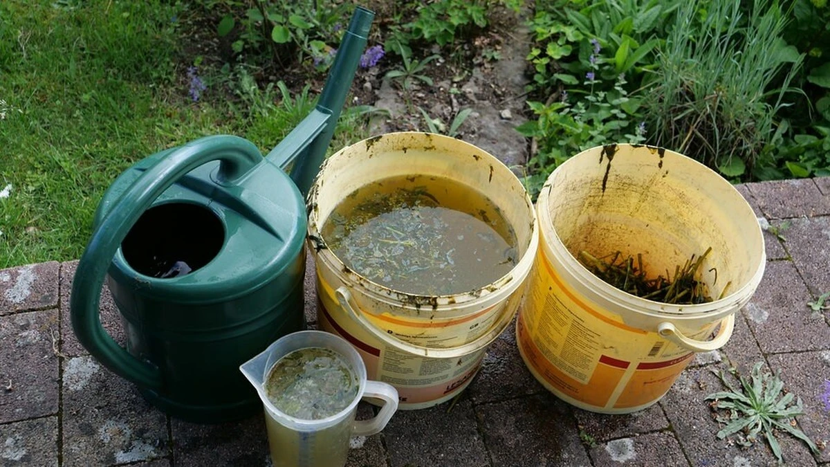 Skorupki jajek wokół roślin? Oto jak odstraszają szkodniki naturalnie!