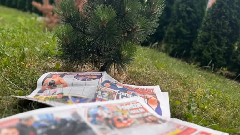 Stare gazety pod warstwą kompostu? Ten trik eliminuje chwasty w 100%.