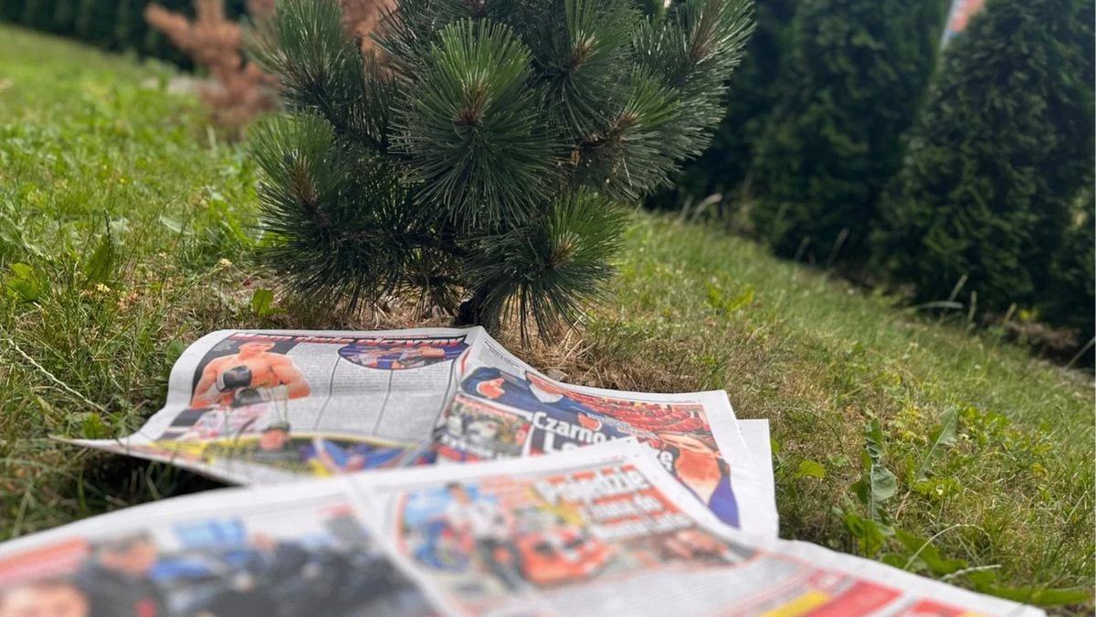 Stare gazety pod warstwą kompostu? Ten trik eliminuje chwasty w 100%.