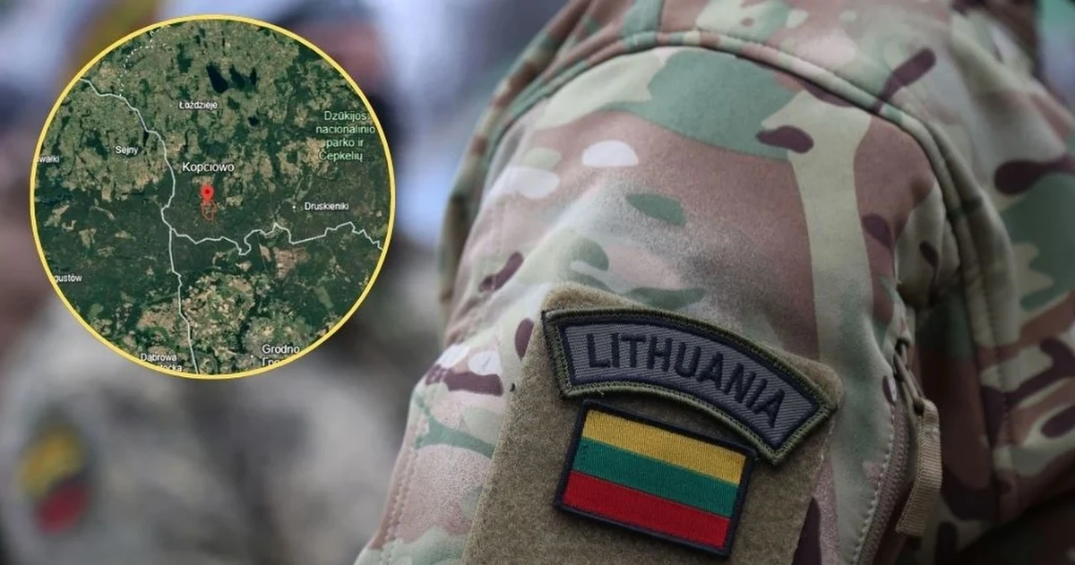 Žadėjo, bet nekalbėjo: koalicijoje vienybės dėl poligono vis dar nėra - image 1
